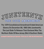 THE 13TH AMENDMENT