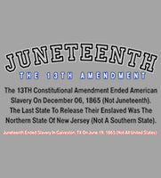 THE 13TH AMENDMENT